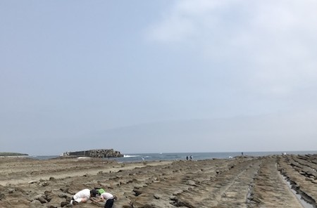 こどもの日に宮崎市青島の磯で海の生き物探しを楽しむパパと子どもたち