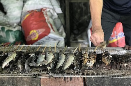 宮崎県三股町しゃくなげの森のやまめ祭りで釣ったヤマメの炭火焼き。